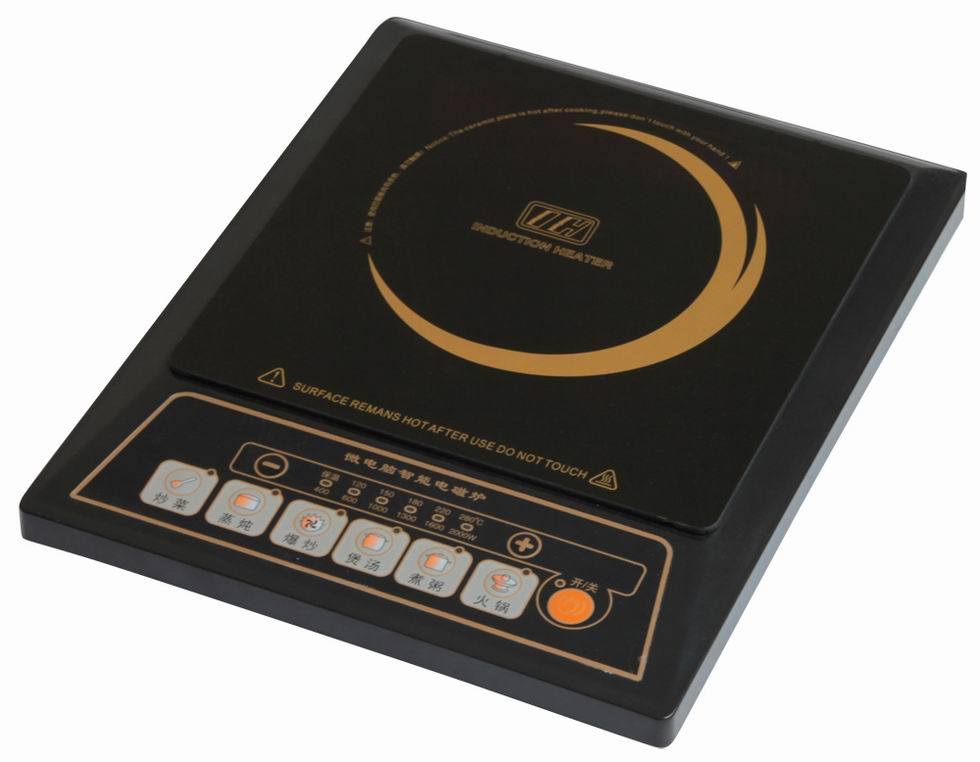 Induction Cooker (IC-S17)