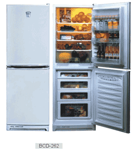 Refrigerator (BCD-262)