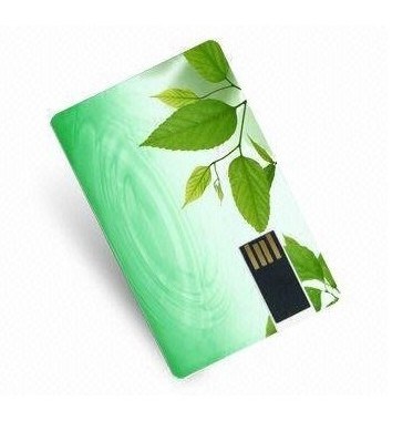 Card USB Flash Drive (NS-535)