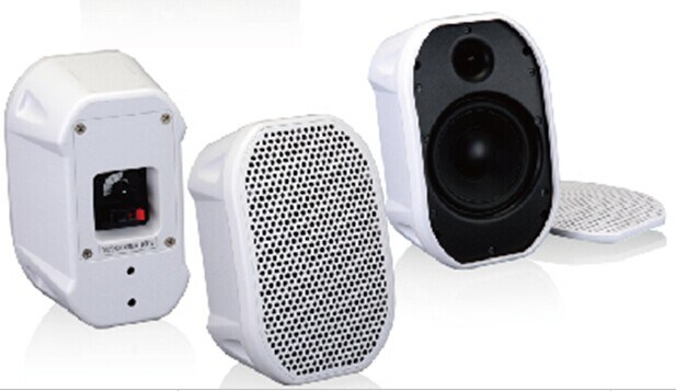 PRO Audio System PA Speaker on Sale Cheap Audio Speaker