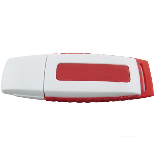 Full Memory Plastic USB Flash Drive