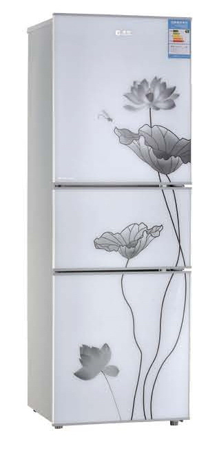 New Design Home 219L Big Volume Refrigerator