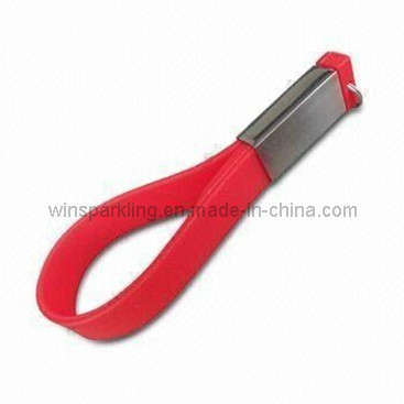 Silicon USB Flash Drive (WS-I009)