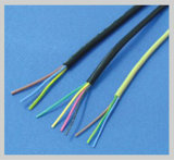 Cable Dz030