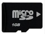 Micro SD Card 1GB