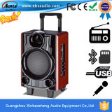 Cheapest Price Professional Music Trolley Speaker