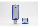 Plastic USB Flash Drive (NS-621)