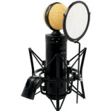 Professional Tube Micrpohone BM-1200L