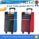 Portable Multimedia Active Digital Speaker with Battery