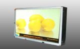 High Brightness LCD