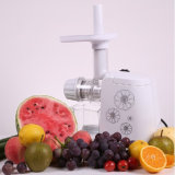 Slow Juicer Low Speed Squeeze Juice / Juice Extractor