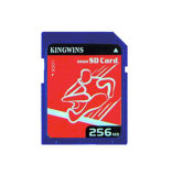 SD Card