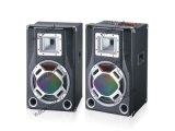 Professional Audio Speaker (NST-008)