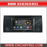 Android Car DVD Player for BMW X5 with GPS Bluetooth (AD-7530)