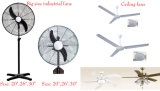 Big Size Industrial Fan