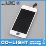 Hot Selling LCD Screen for iPhone 5s LCD Screen, for iPhone 5s Screen, for iPhone 5s Display