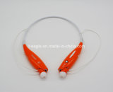 The Hbs-730 Classical Sport Wireless Neckband Bluetooth Headset