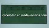 Customized Electone LCD Display (BZTN100163)
